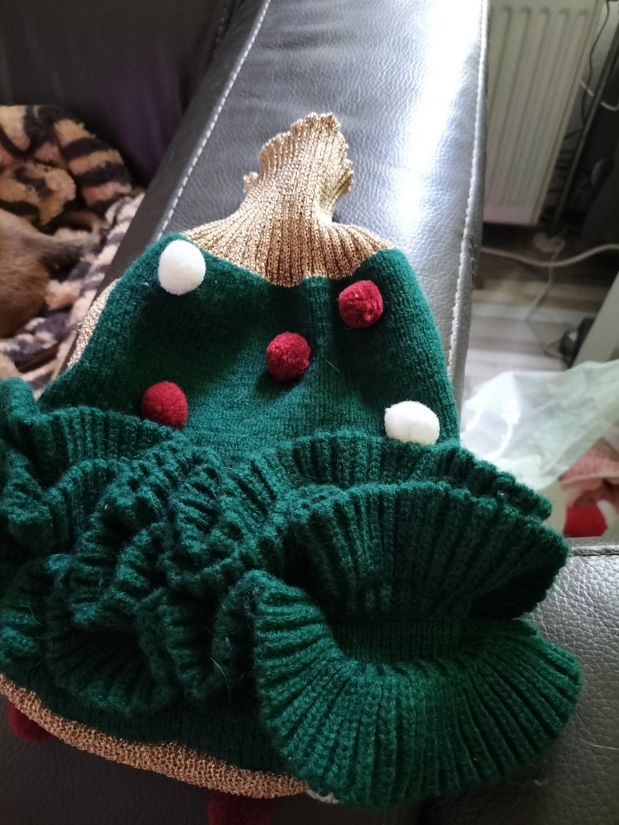 Kerst jurk