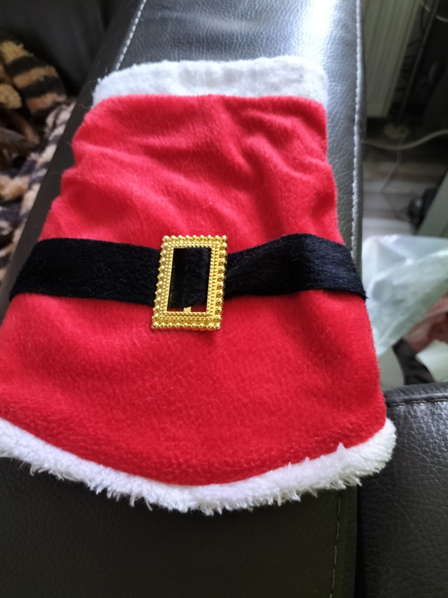 Kerst jurkje