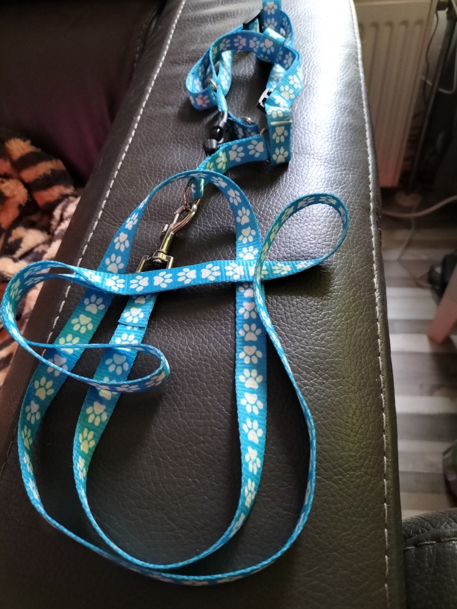 Tuigje met riem