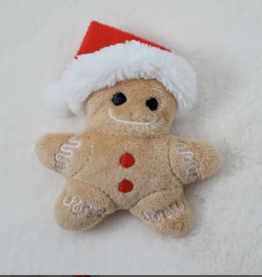 Kattenspeeltje kerst