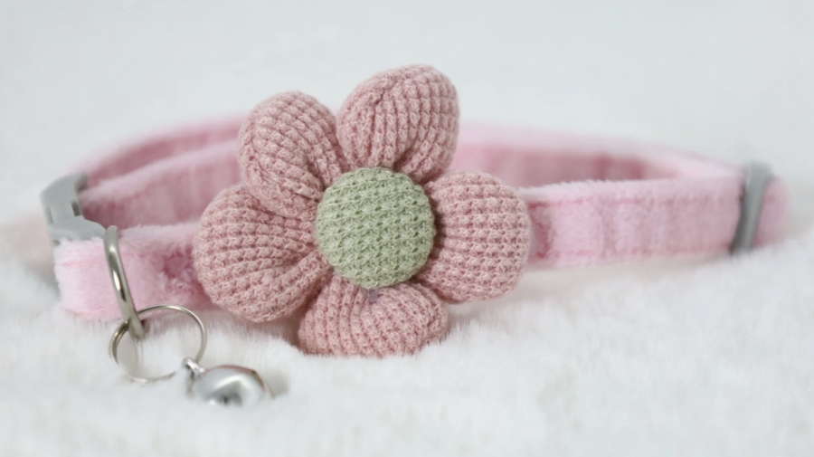 Halsband katten/puppy