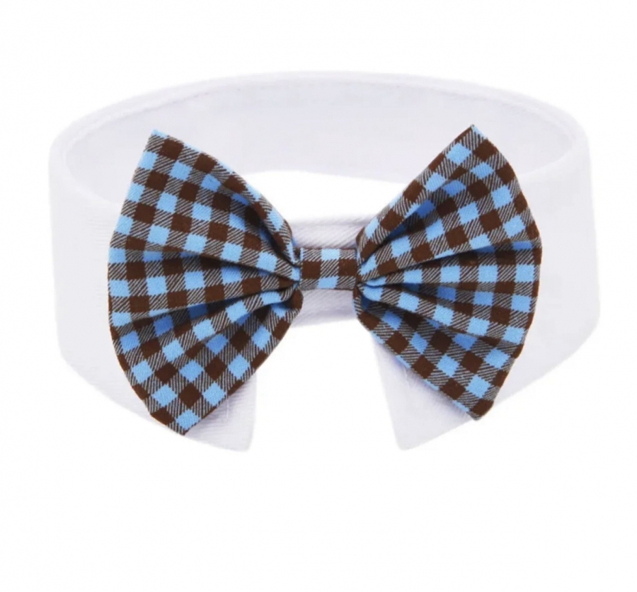 Bowtie kat/puppy