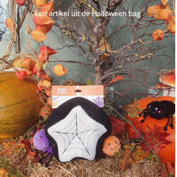 Halloween Bag