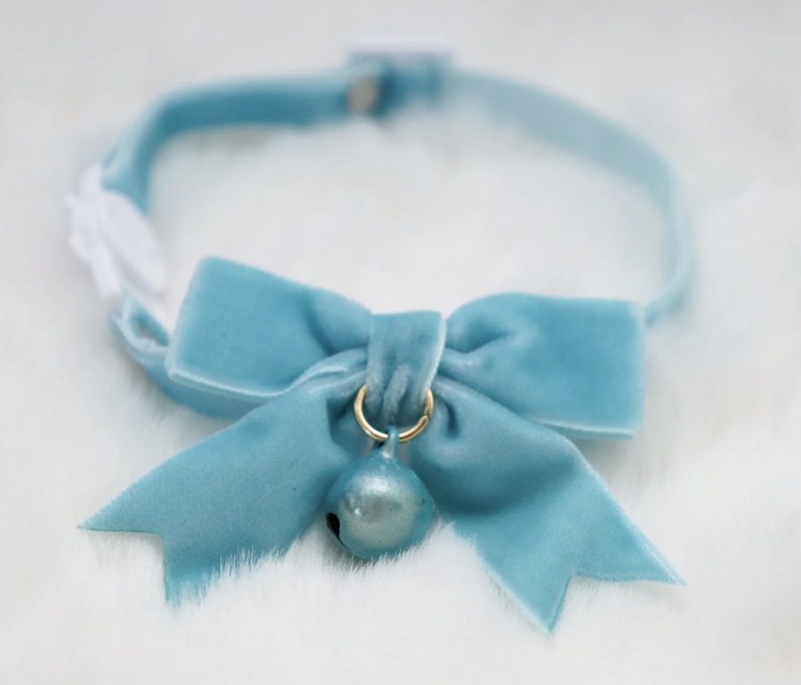Velvet halsband kat of puppy/kleine hond