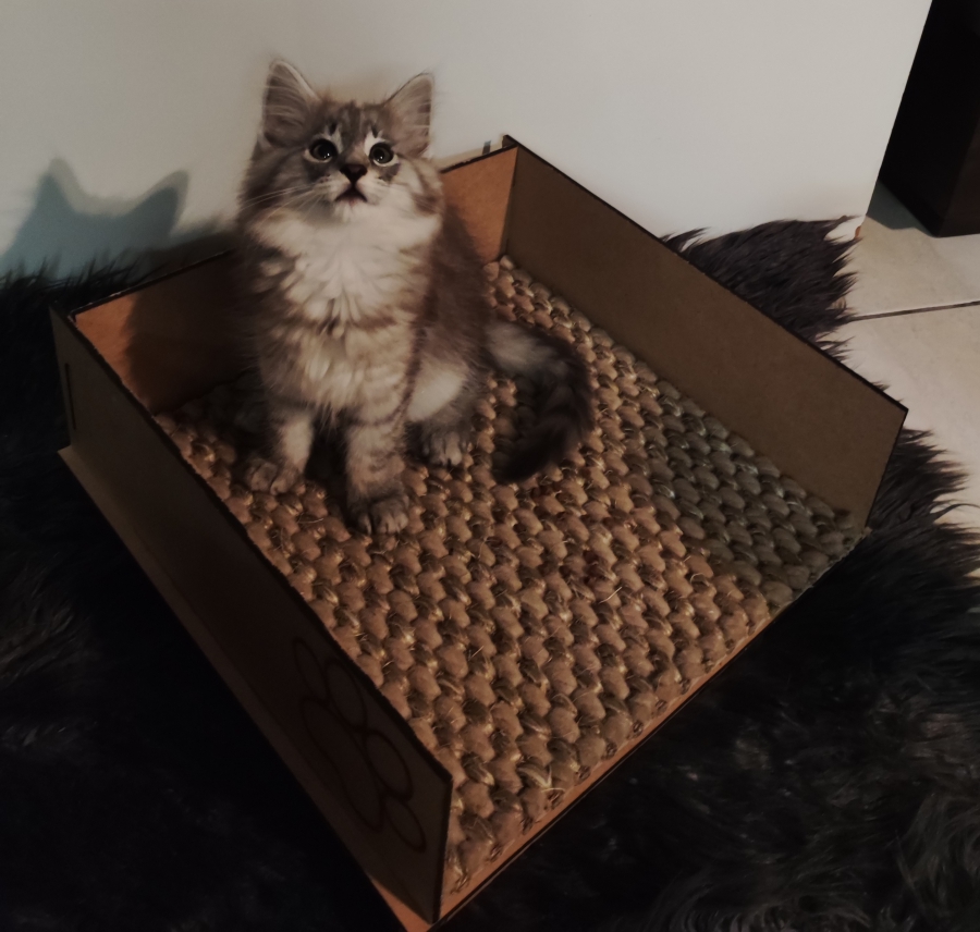 Meeneembaar kittenmandje 