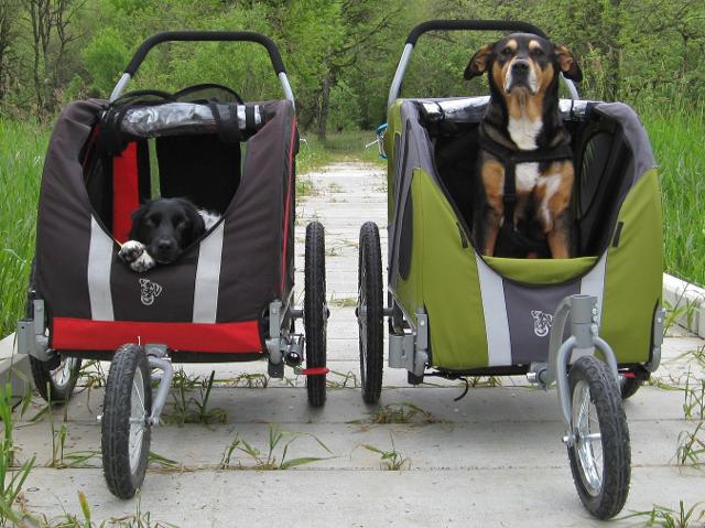 DoggyRide -  Novel 20 Jogger hondenbuggy (alleen cabine)