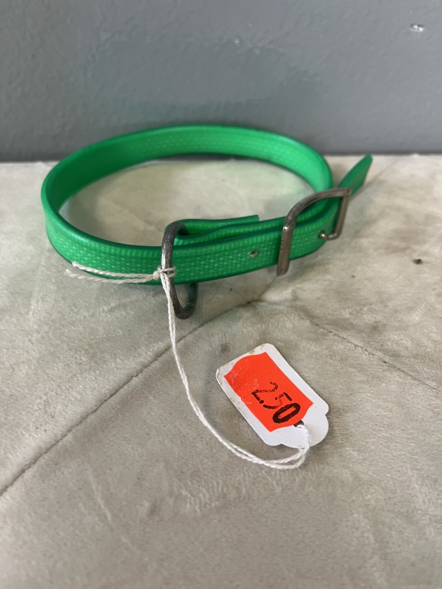 Halsband