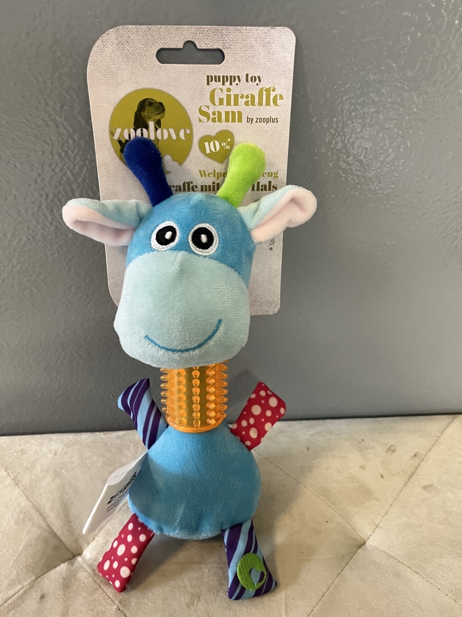 Zoolove giraffe
