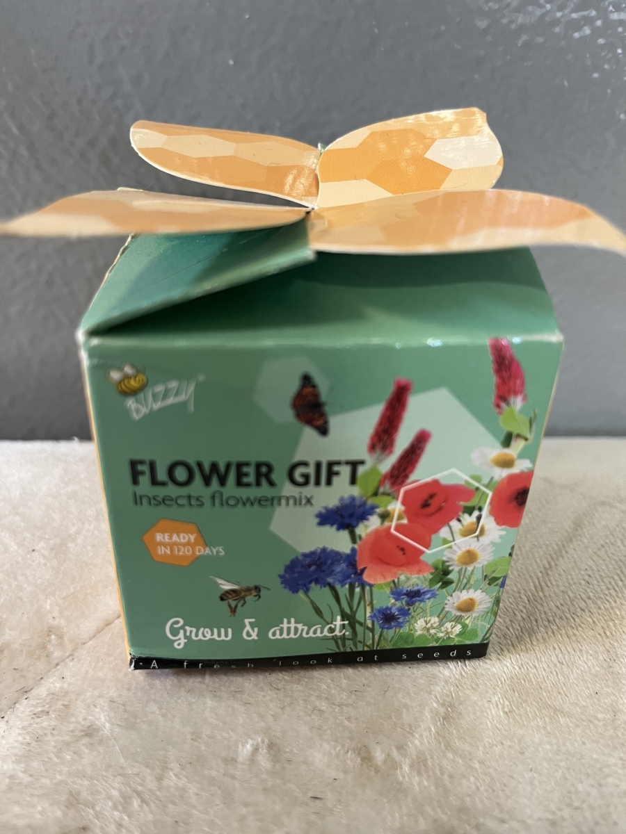 Flowergift - insects flowermix 