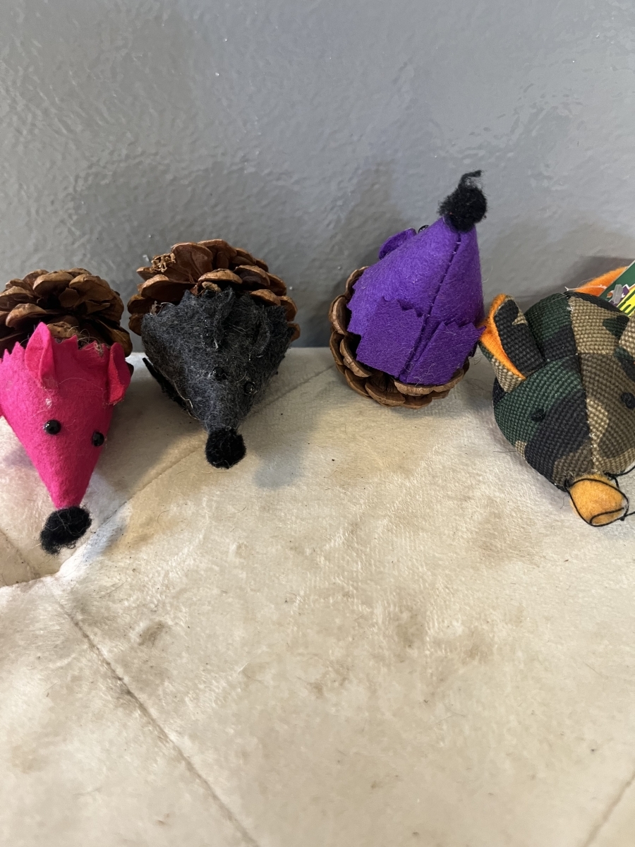 Muisjes voor de kat