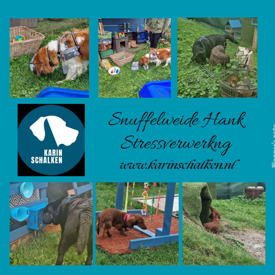 Snuffelweide Hank