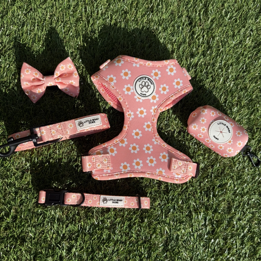 Dazzling Daisy harnas set 