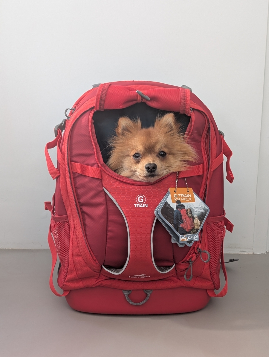 G- train - Rugzak Kurgo K9
