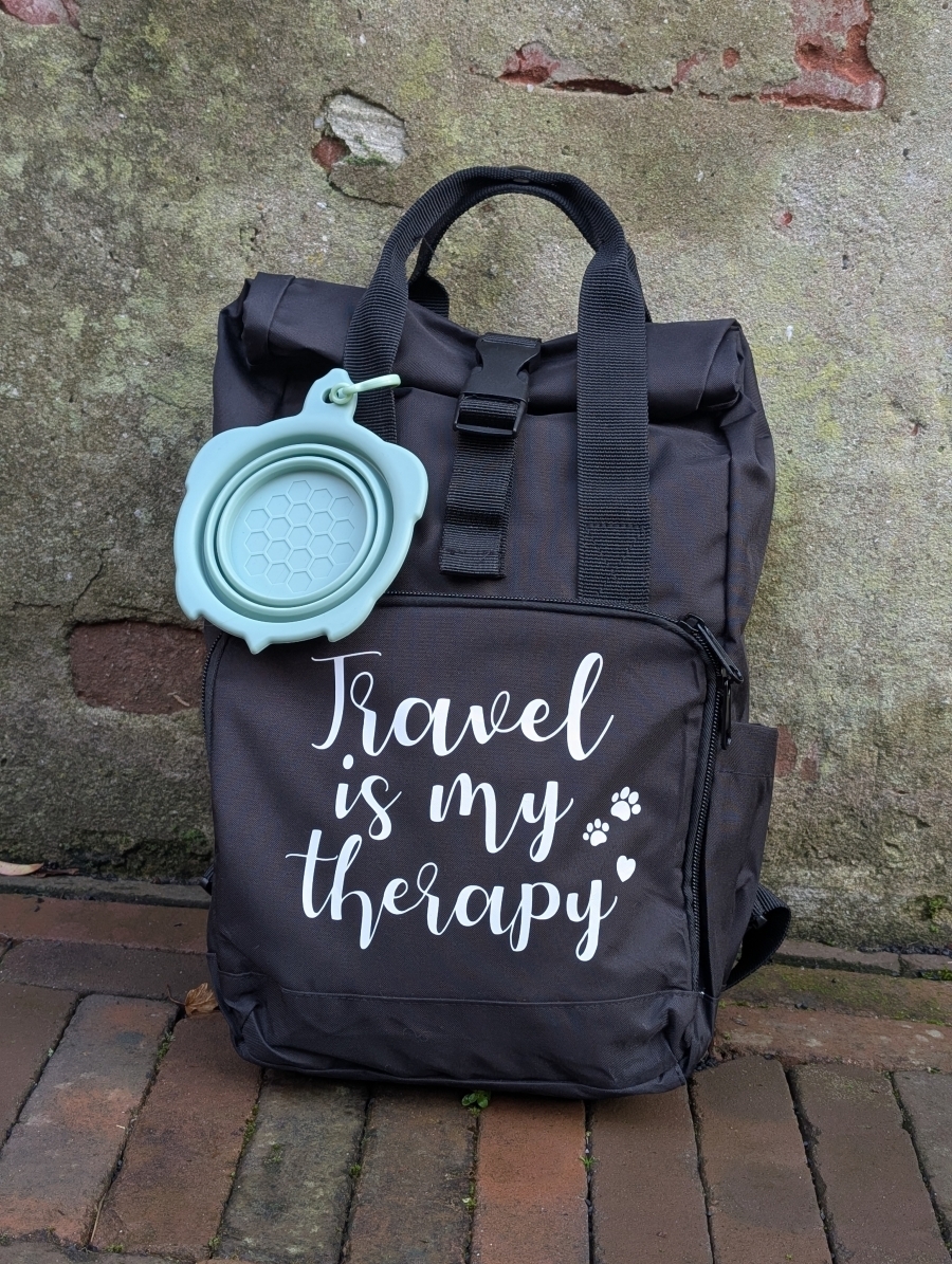 Travel backpack