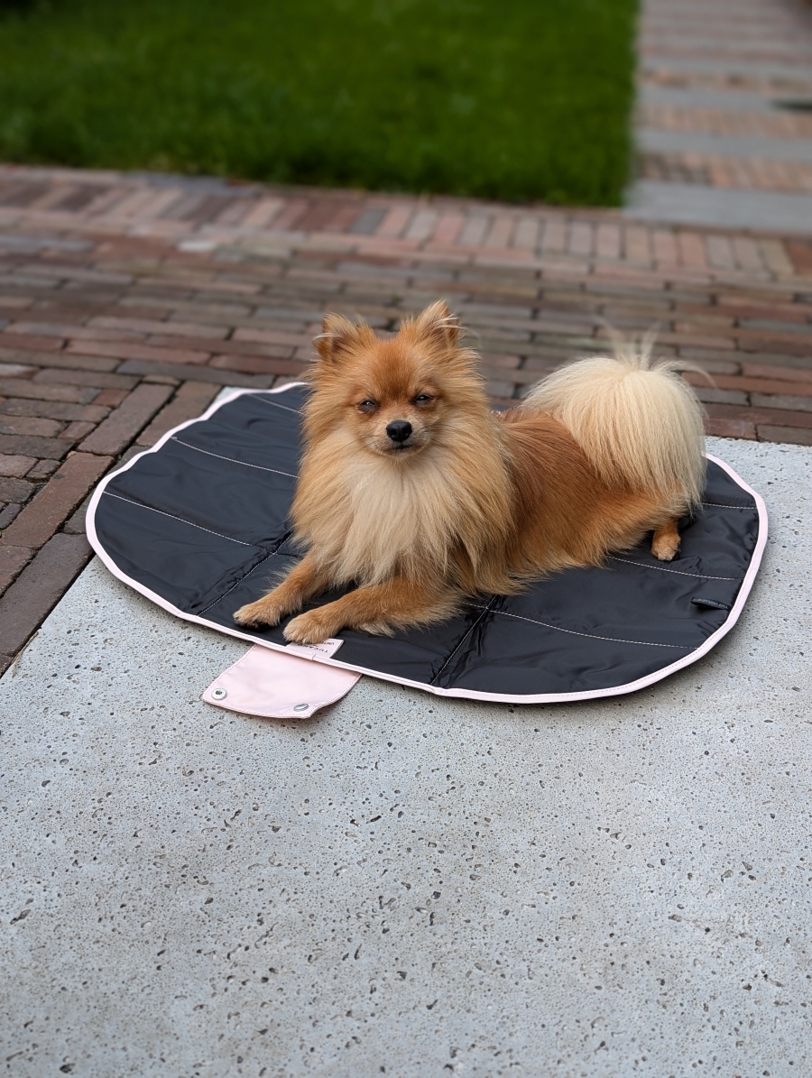 Opvouwbare mat - United pets milano