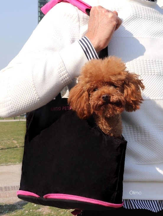 Opvouwbare tas - United pets milano Roze