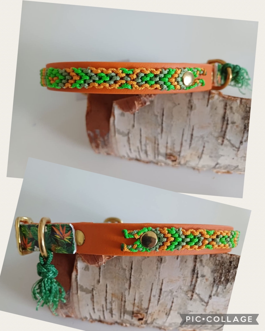 Biothane halsband met vriendschapsbandje