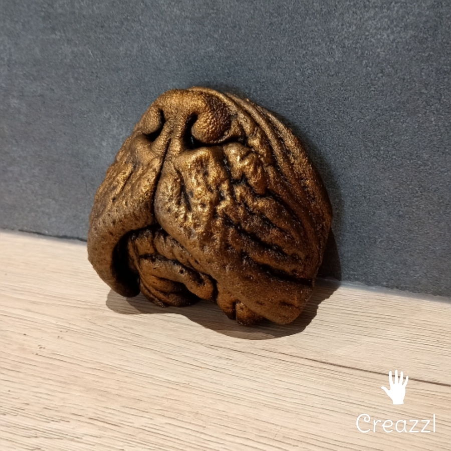 Uniek 3D snuitbeeld hond of kat middels Bodycasting 