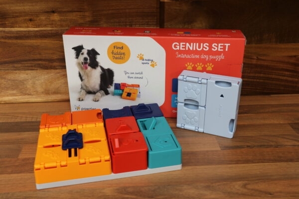 Pawzler Genius Set - Level 3