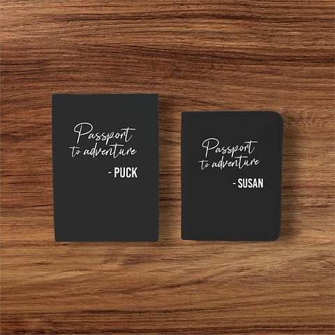 Paspoorthoezen set