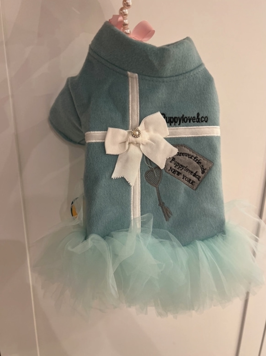 Tiffany en co jurkje 