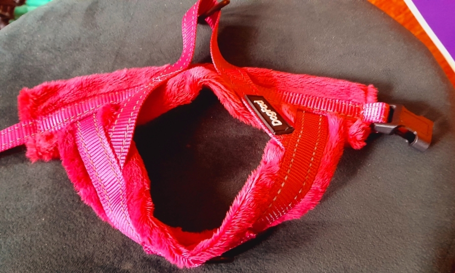 Tuigjes en Jasjes voor kleine hondjes 