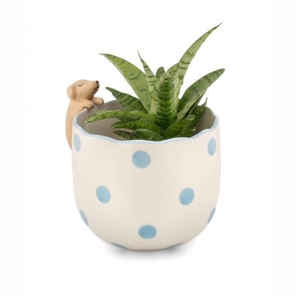 Sass & Belle - Glurende Teckel Bloempot