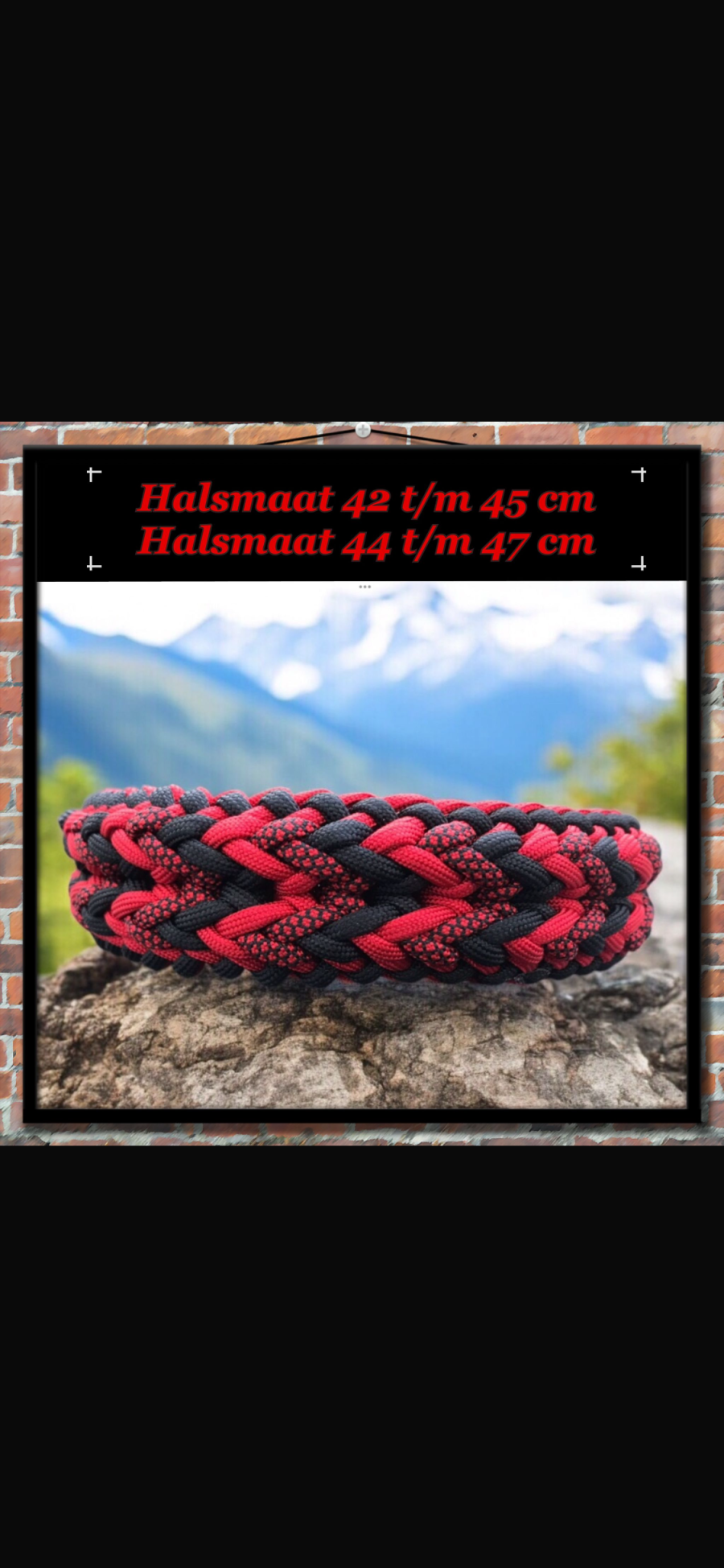 Halsband verstelbaar