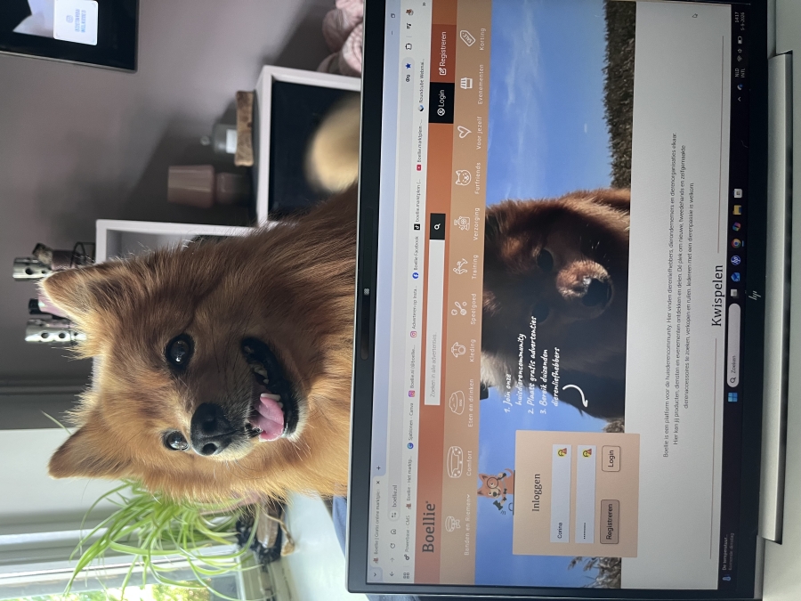 Test 3