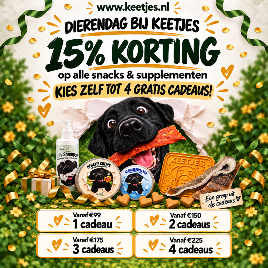Dierendag bij Keetjes
