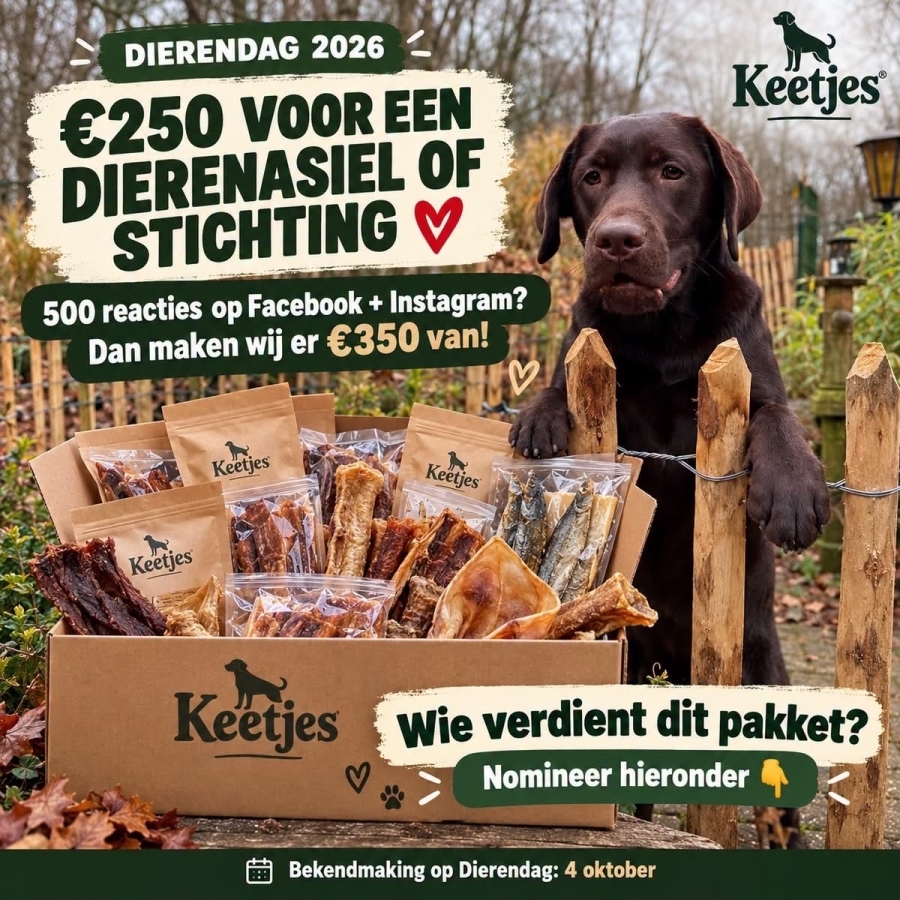 Keetjes pakket voor een Asiel of Stichting